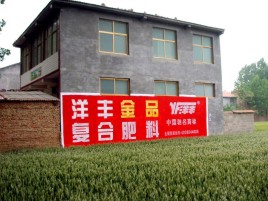 陆川如何让墙体广告展现最大化效果