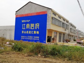 陆川农村墙体广告在不同形式上面展现的不同特色