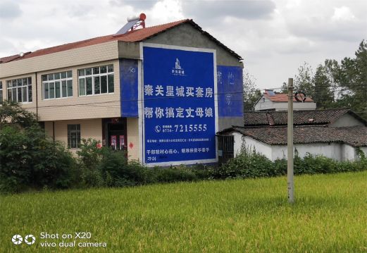 陆川决定墙体广告价格的因素有哪些?