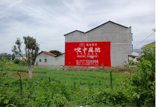 陆川做墙体广告的意义